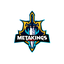 MetaKing